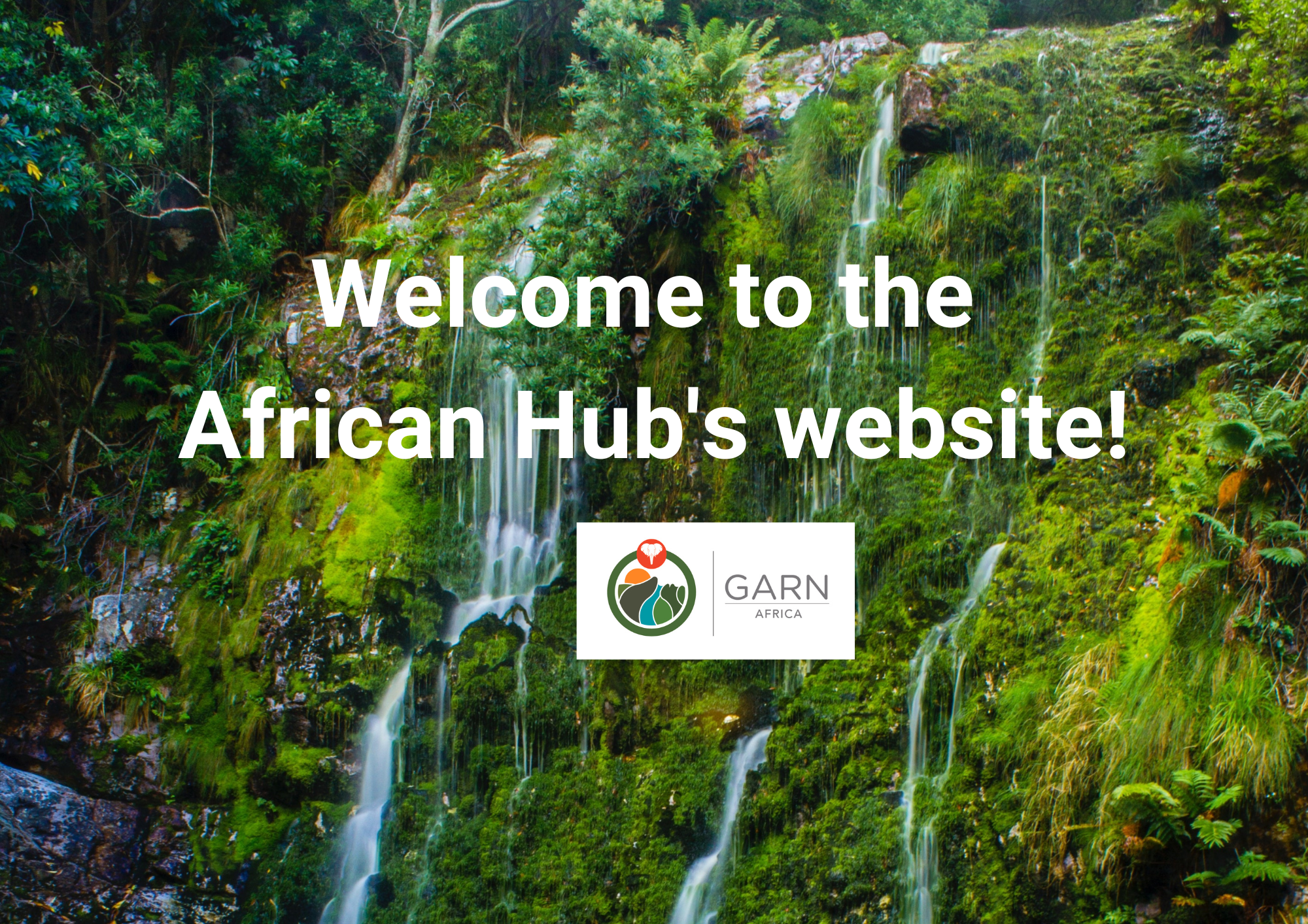 Launch of the African Hub website!